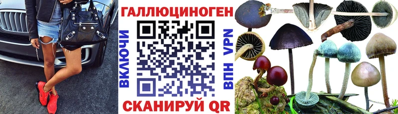 Псилоцибиновые грибы прущие грибы Екатеринбург